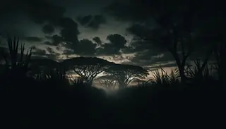 A dark, ominous landscape of Tucumán's sugarcane fields at twilight, with shadows lengthening and a sense of foreboding in the air.