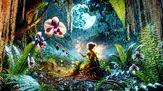 Hainuwele the Coconut Girl